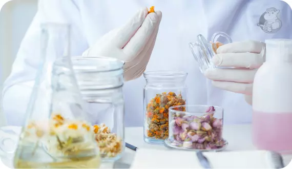 senselier starannie dobierający składniki do produkcji perfum
